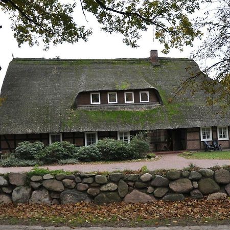 Apartamento Reit- Und Bauernhof Klaucke Trebel Exterior foto